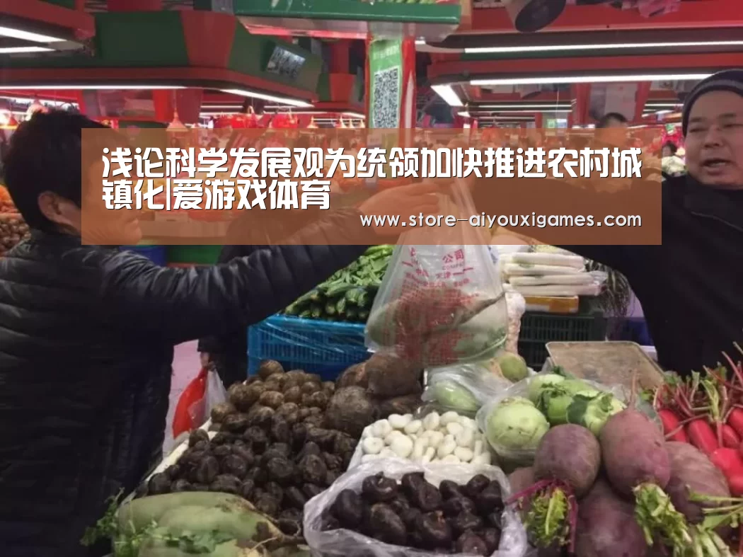 浅论科学发展观为统领加快推进农村城镇化|爱游戏体育(图3) 爱游戏体育App下载