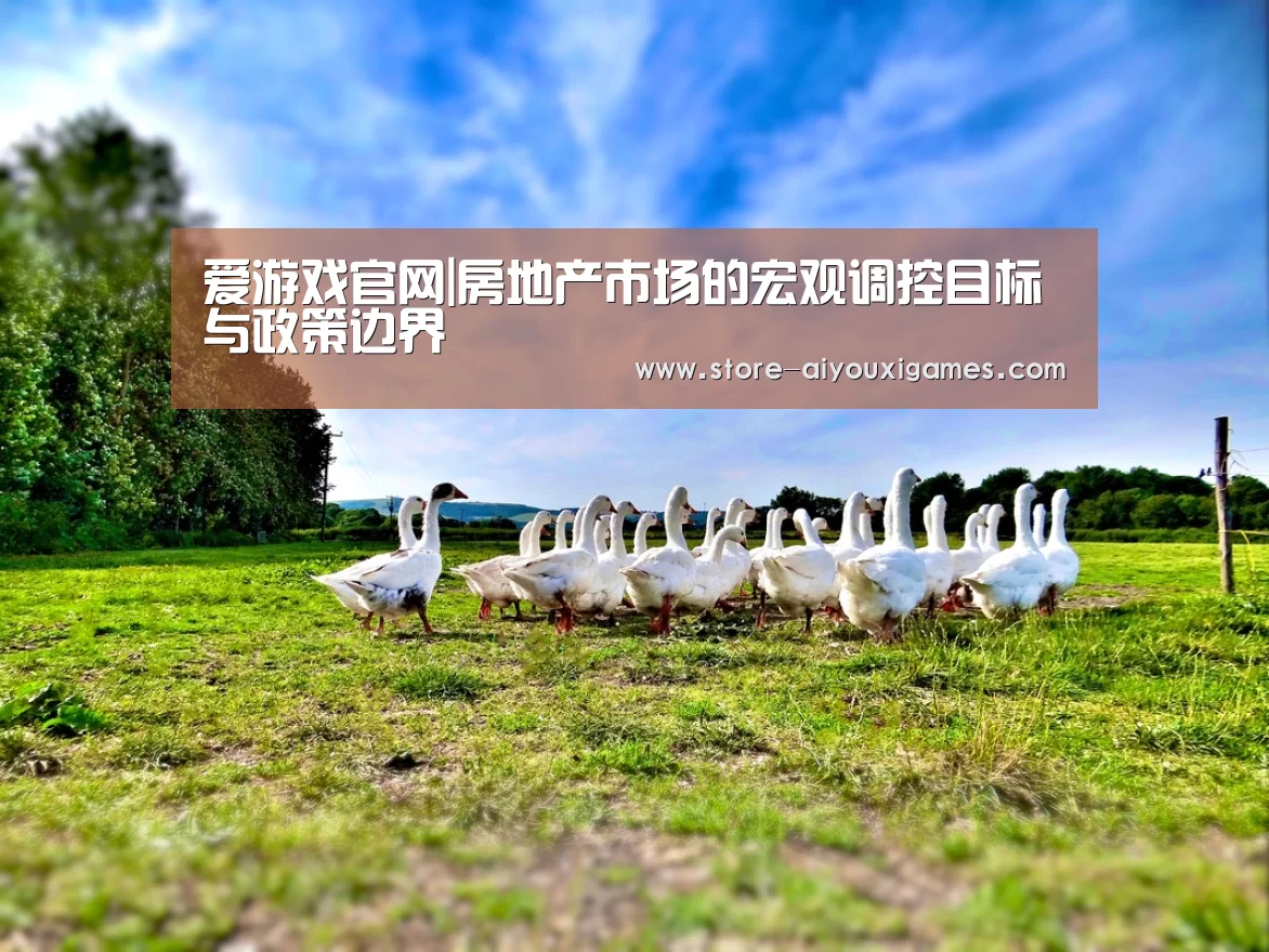 爱游戏官网|房地产市场的宏观调控目标与政策边界(图4) 爱游戏体育
