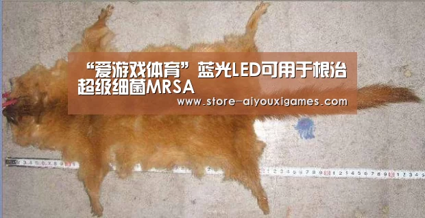  爱游戏官网
