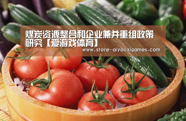 煤炭资源整合和企业兼并重组政策研究【爱游戏体育】(图3) 爱游戏体育App下载