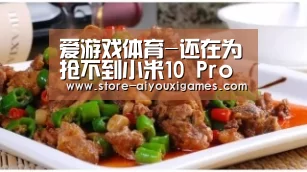 爱游戏体育